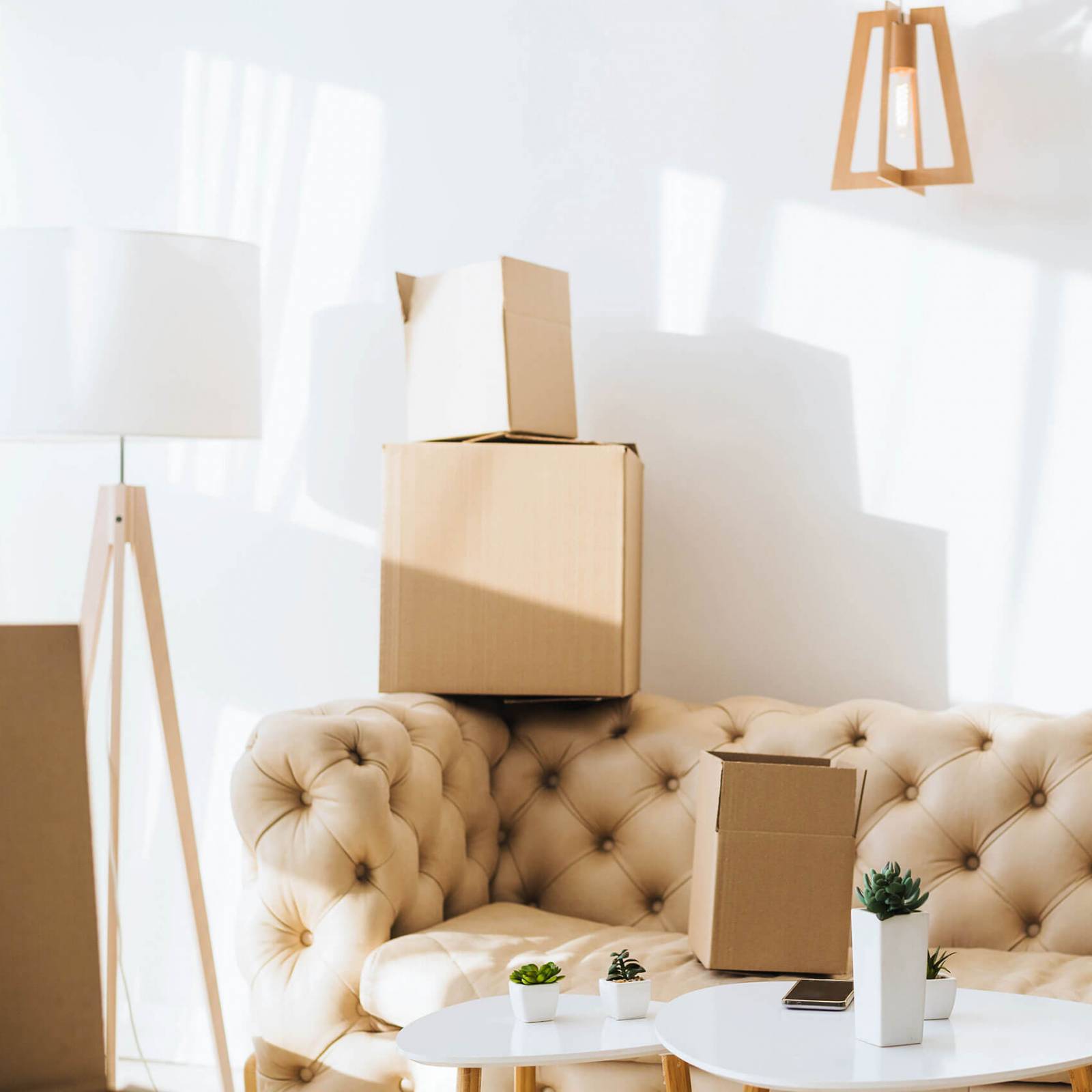 Montagem e Desmontagem de Móveis