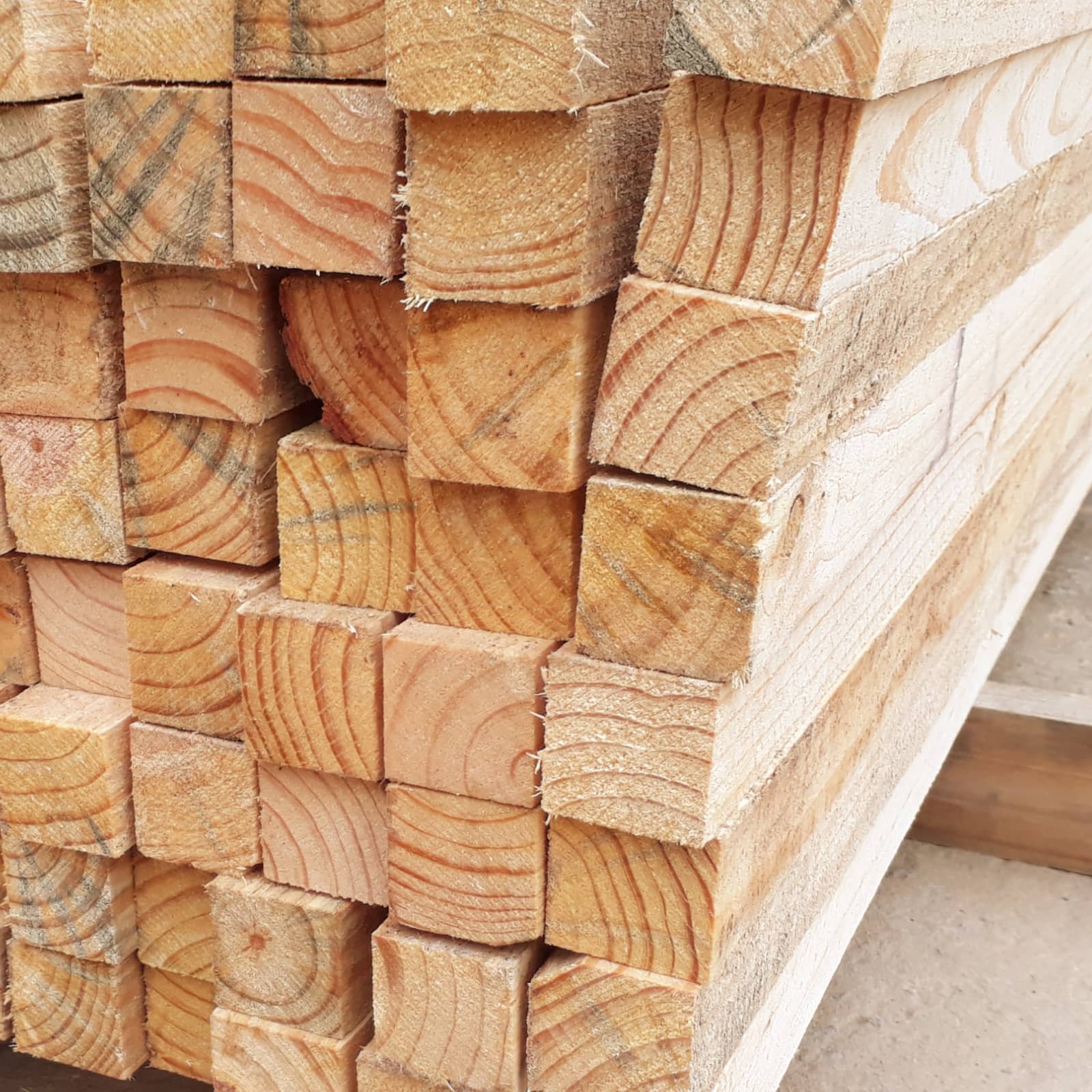 Pinus Natural 5x5x3mts