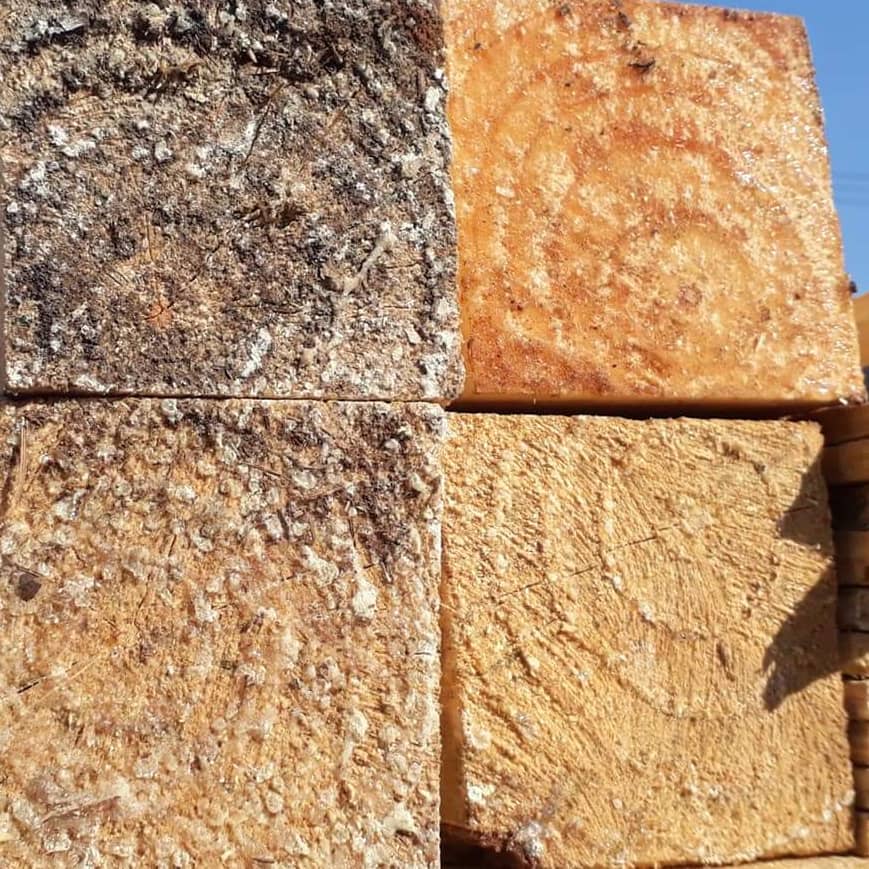 Pinus Natural 15x15x3mts