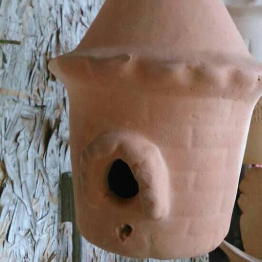 Casinha de Passarinho